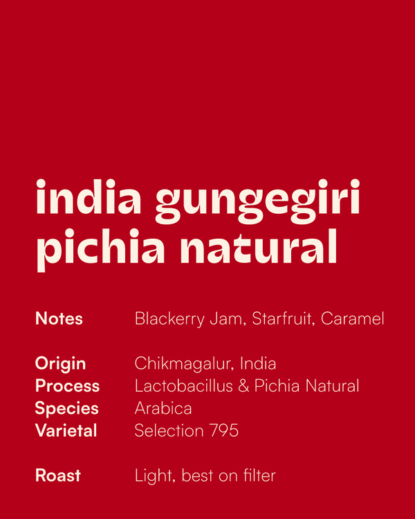 India Gungegiri Lacto Pichia Natural – Coffee Wallas (Toronto, Ontario)