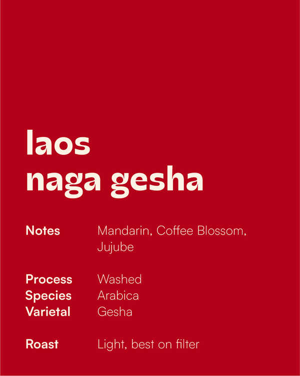 Laos Naga Gesha - Coffee Wallas (Toronto, Ontario)