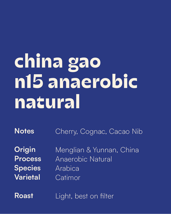 CHINA - Gao Estate N15 Anaerobic Natural – Coffee Wallas