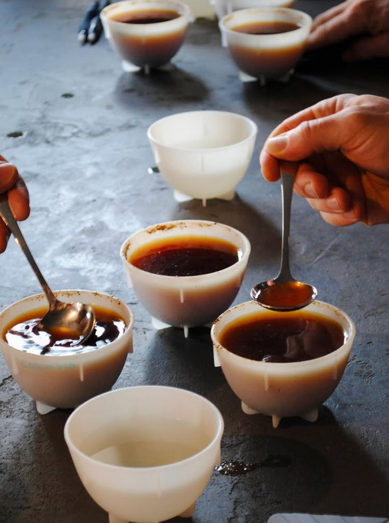 Get to Know Ministry of Coffee with Josef Mott, Director of Coffee Quality & Operations