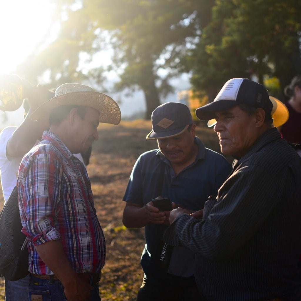 This Coffee Is Meaningful: The Story Behind Mataquescuintla