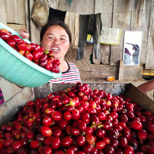 Kapé Coffee and Philippine Specialty Coffee