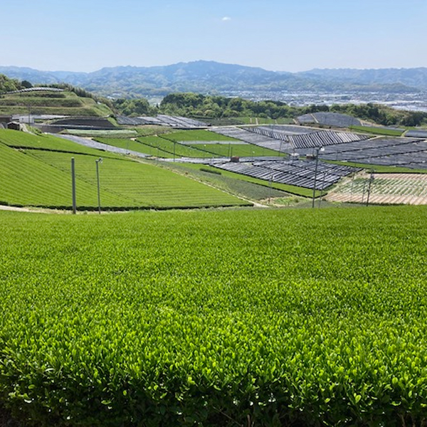 Daigyo - Kumo no Ue