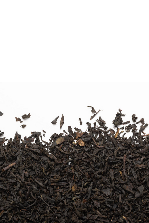 Camellia Sinensis - Earl Grey Tea - 15 Tea Bags