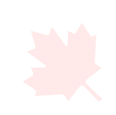 CANADA DAY SALE