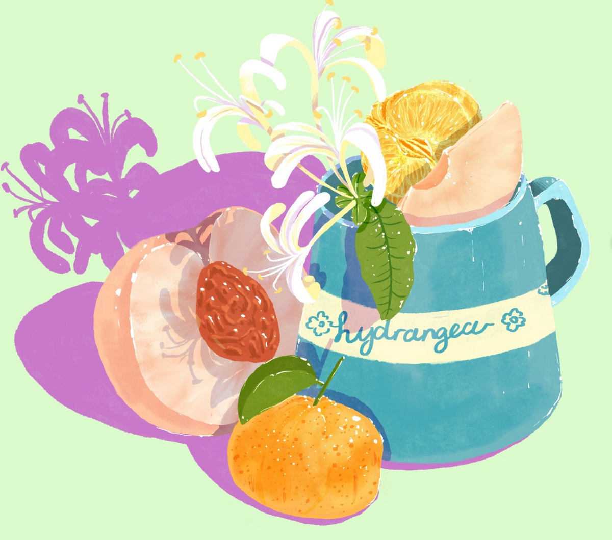 Photo of Hydrangea
