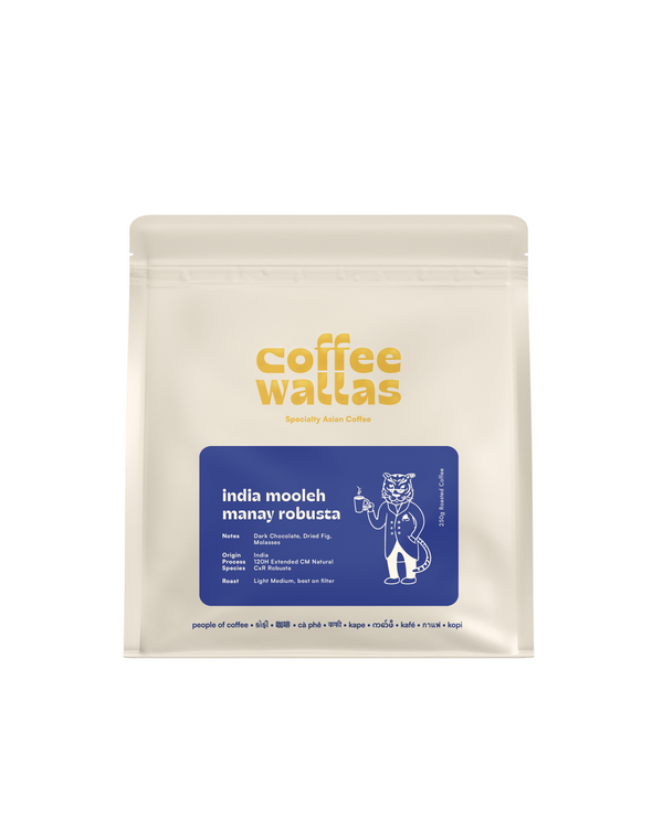 INDIA - Mooleh Manay Excelsa (84H Yeast Fermented Natural) – Coffee Wallas