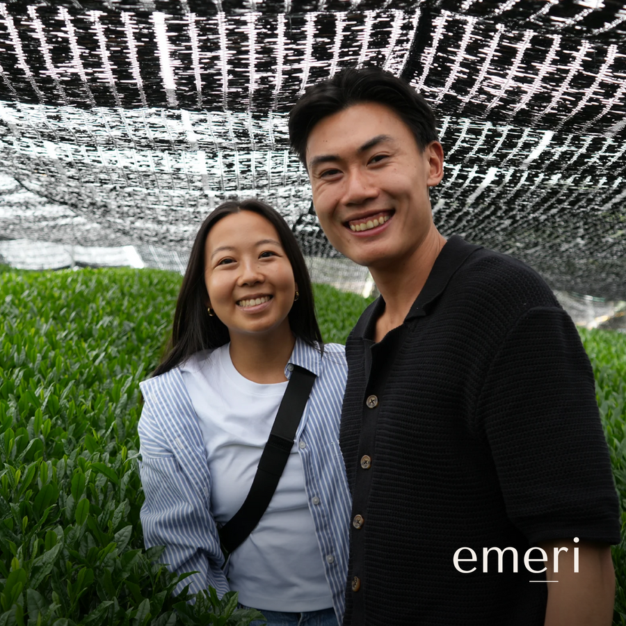 EMERI