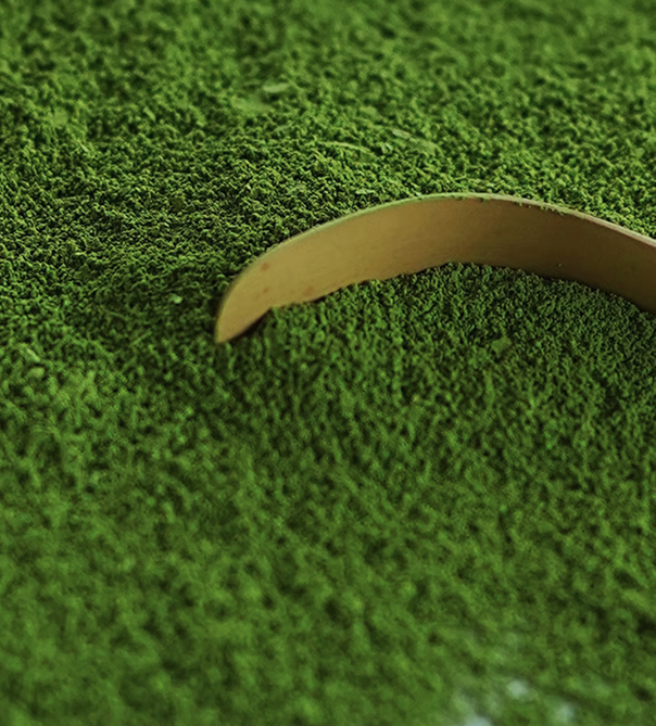 Photo of MATCHA RE:PUBLIC 