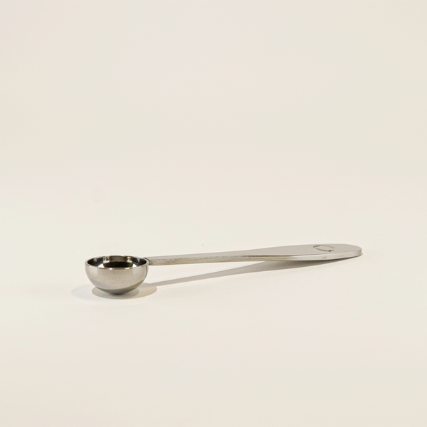 Camellia Sinensis  - Matcha Spoon