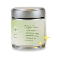 Boxing Week Offer 🎁