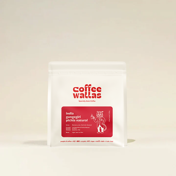 India Gungegiri Lacto Pichia Natural – Coffee Wallas (Toronto, Ontario)