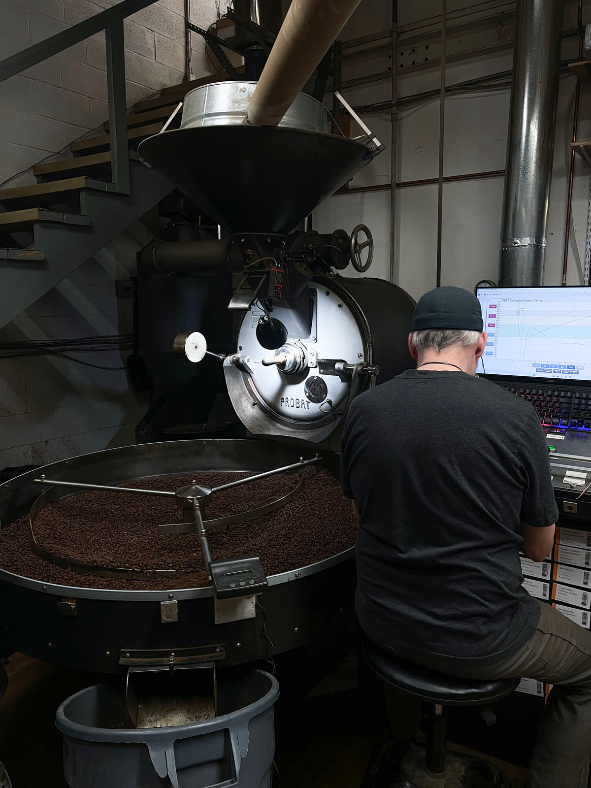 Photo of Velvet Sunrise